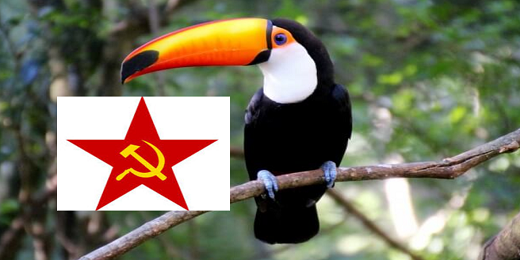 A Natureza de Um Político Tucano