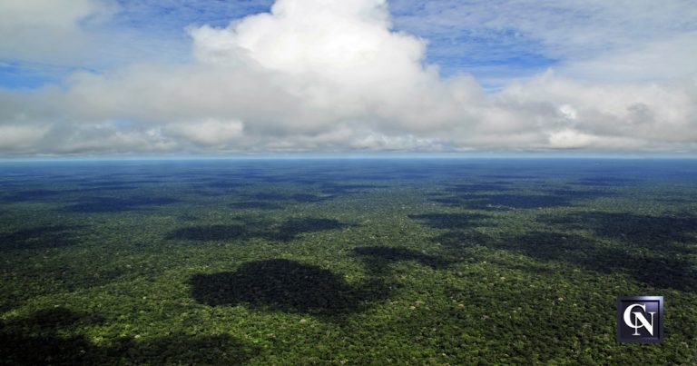 <font color=#ffffff>Presidente Bolsonaro Afirma Corretamente: Amazônia Não É Patrimônio da Humanidade</font>